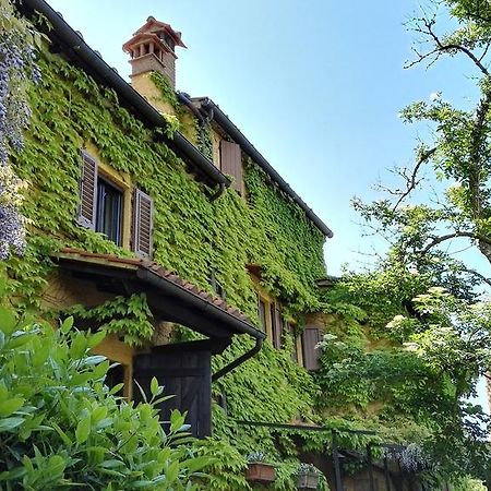 B&B Le Due Volpi Викио Екстериор снимка