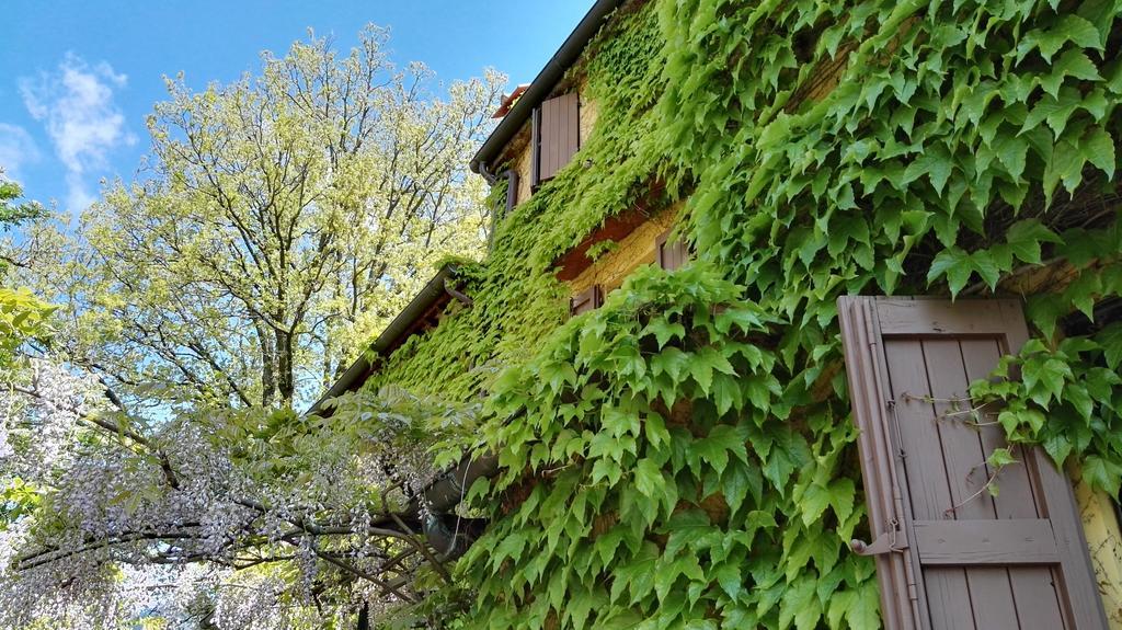 B&B Le Due Volpi Викио Екстериор снимка