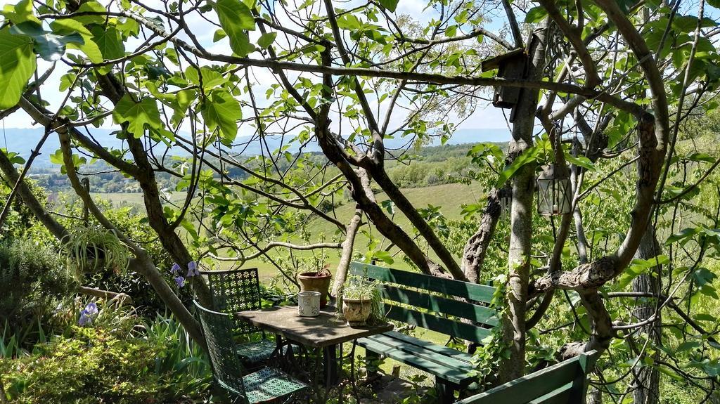 B&B Le Due Volpi Викио Екстериор снимка