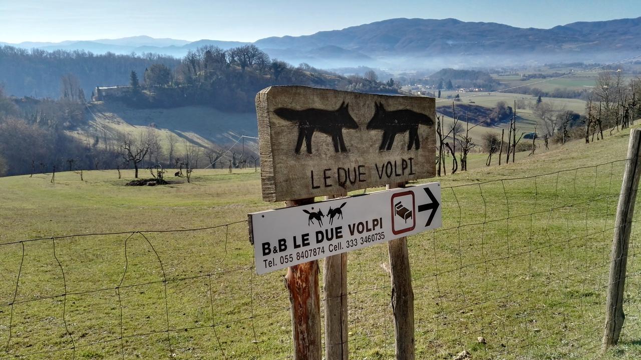 B&B Le Due Volpi Викио Екстериор снимка